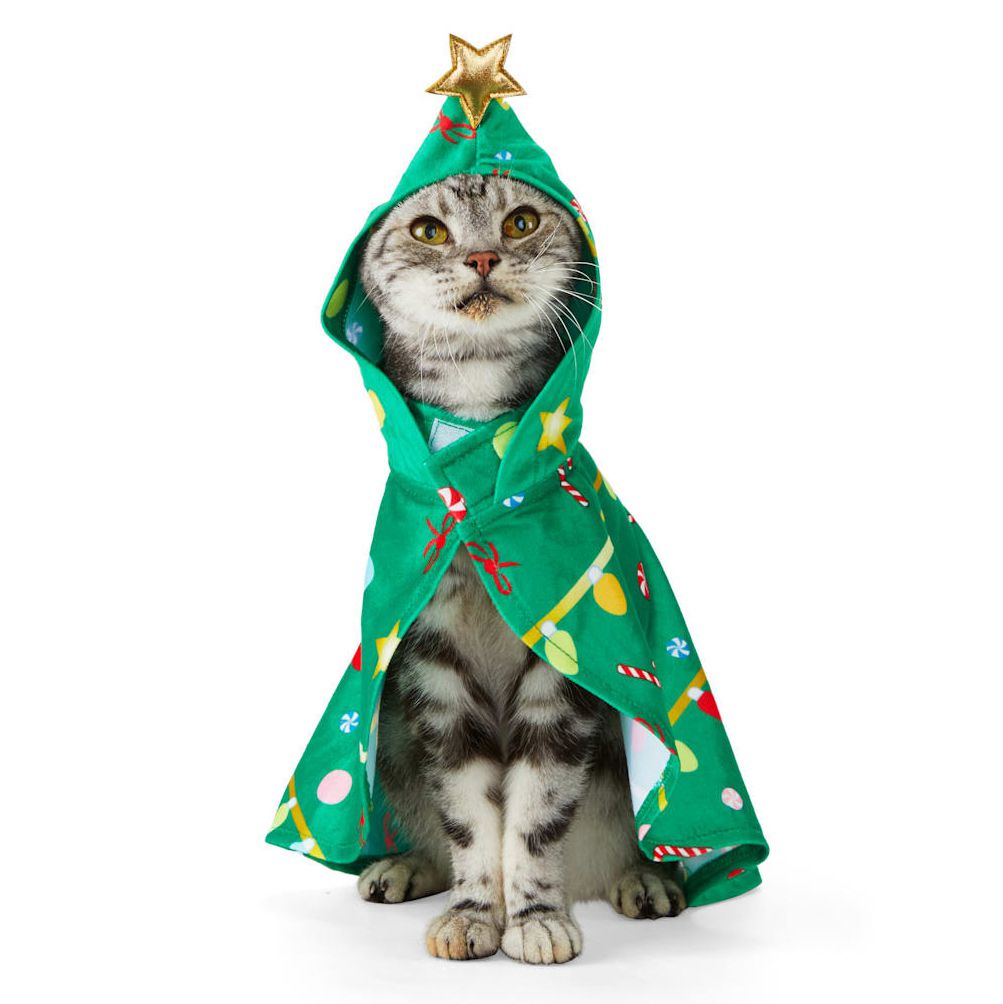 Cat wearing an All Spruced Up Christmas Tree Cat Cape