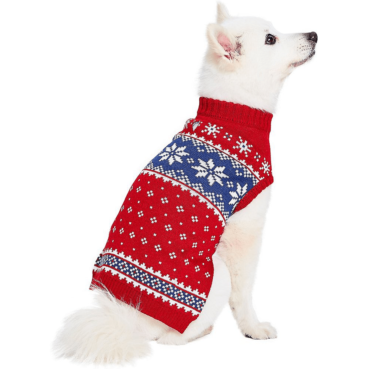 blueberry pet dog christmas sweater