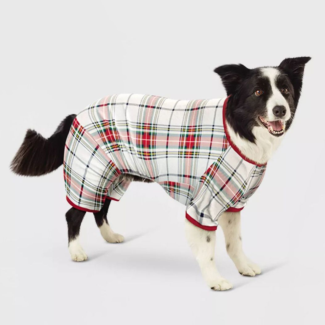 Dog wearing Flannel Dog Pajamas