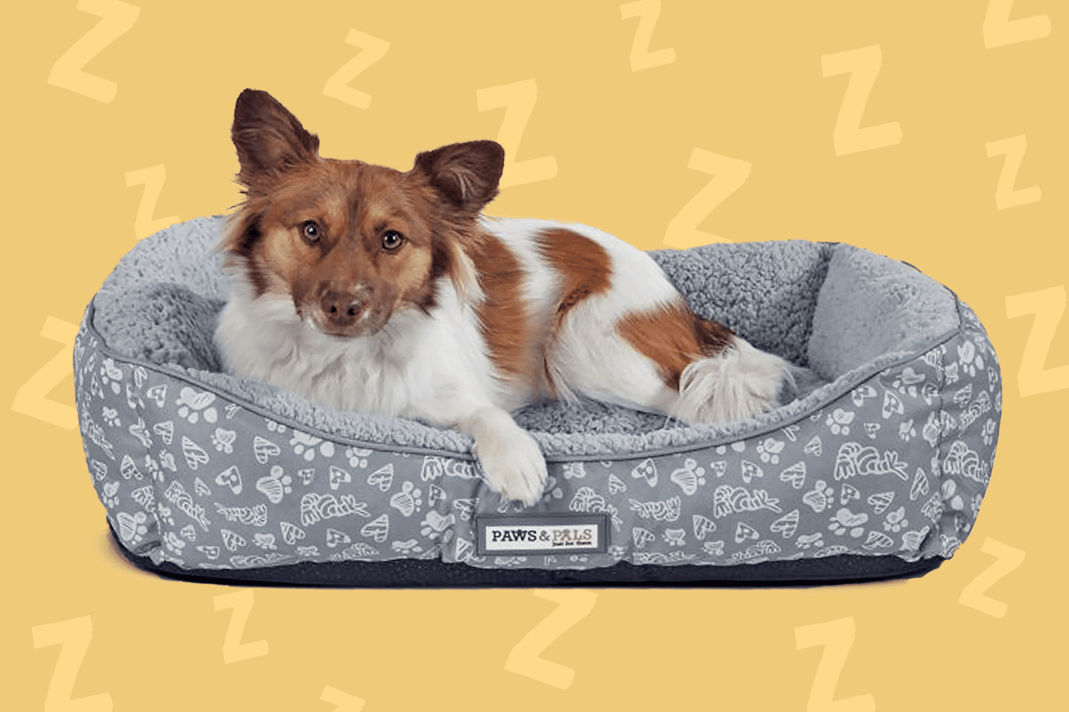 dog laying on heated dog bed