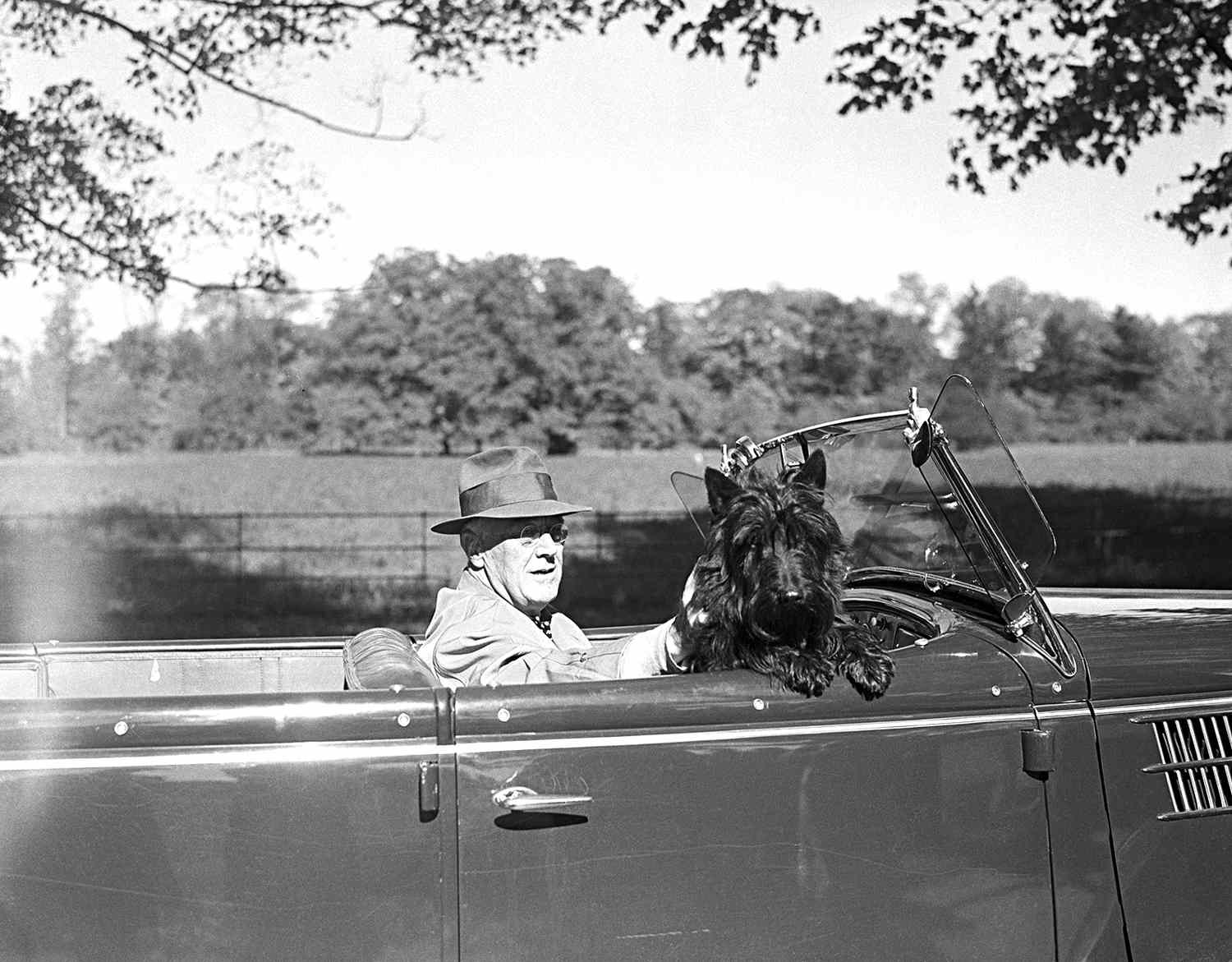 president roosevelt and his scottish terrier fala