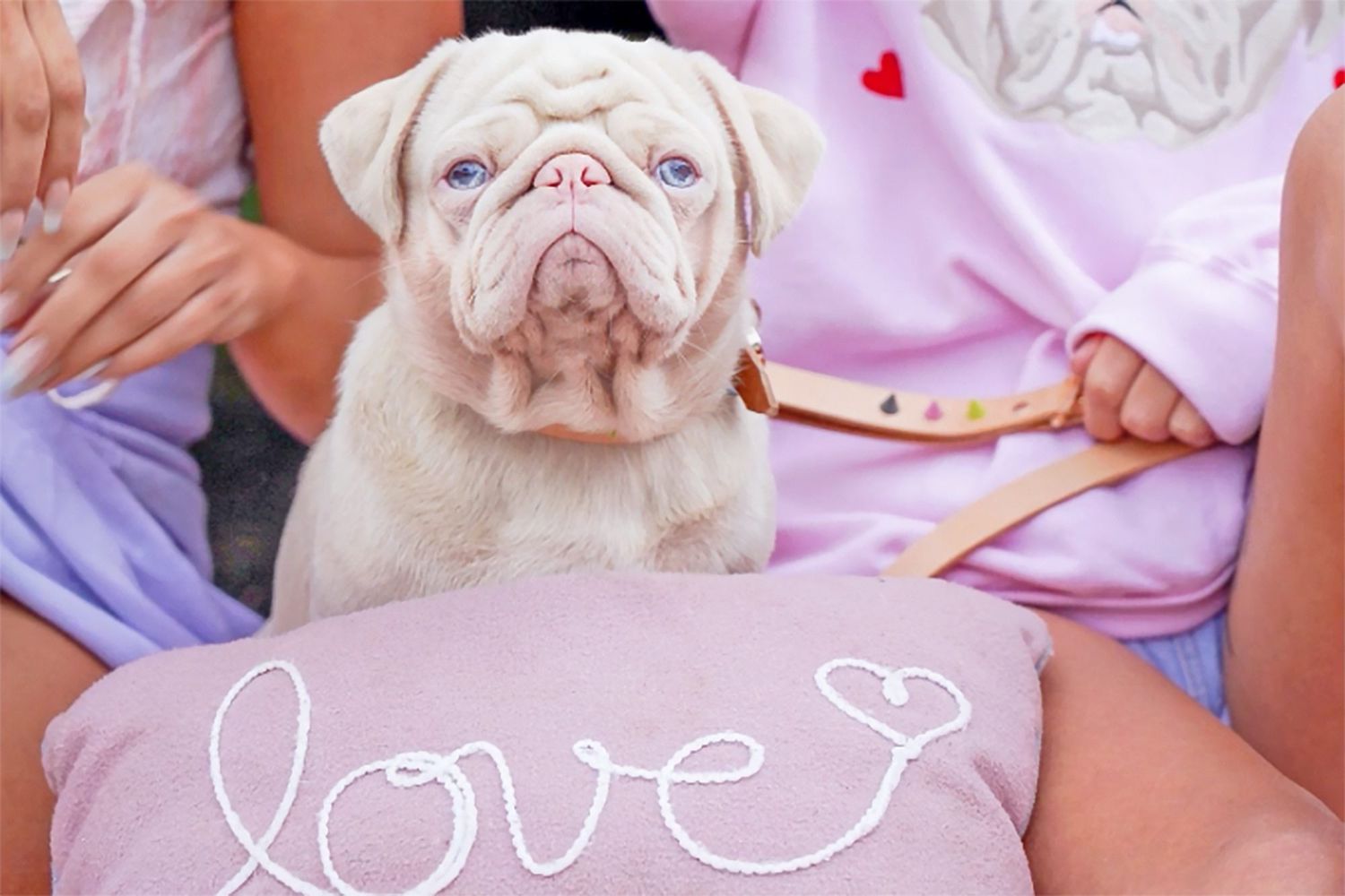 Milkshake, the pug, sitting inbetween two women and a pillow with the word, "love"