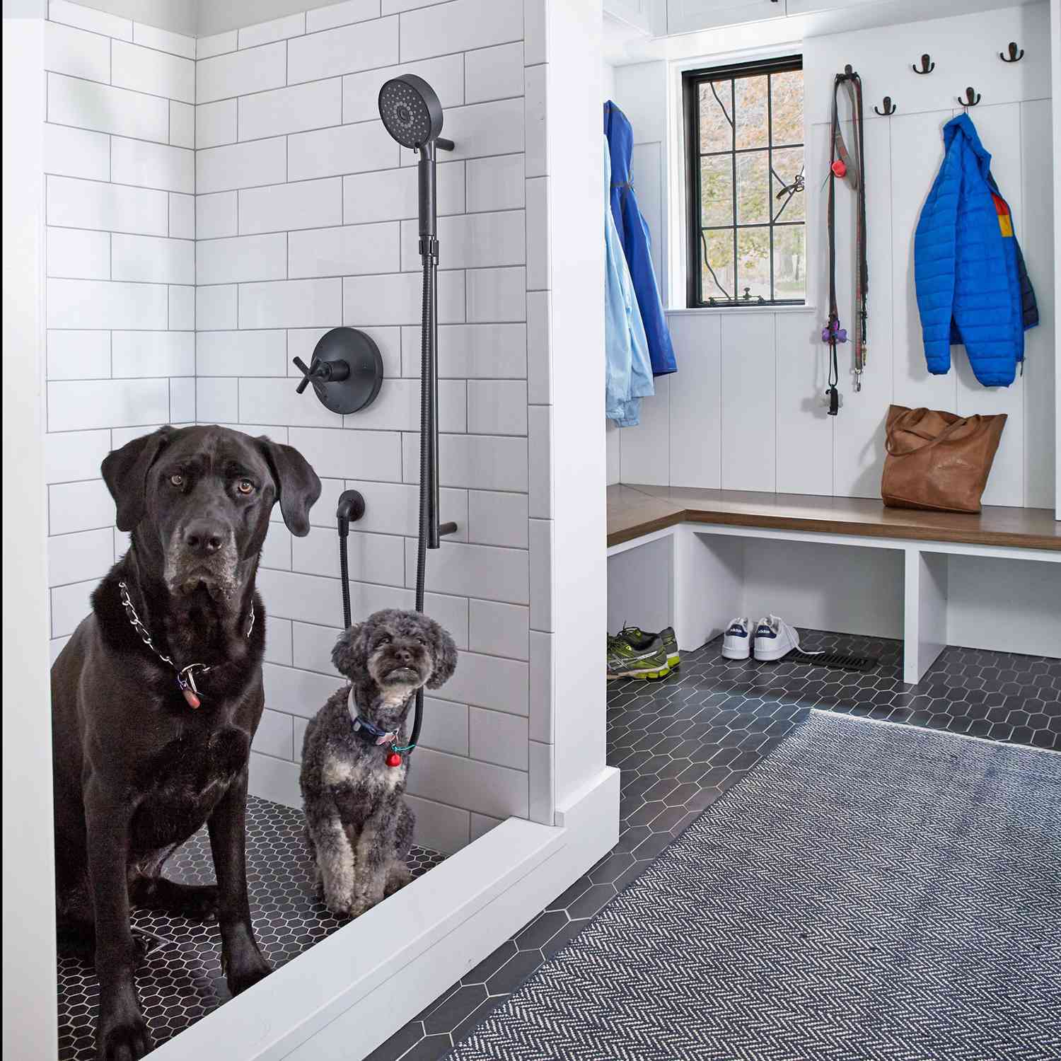 Black and grey dog in shower of beautiful mud room