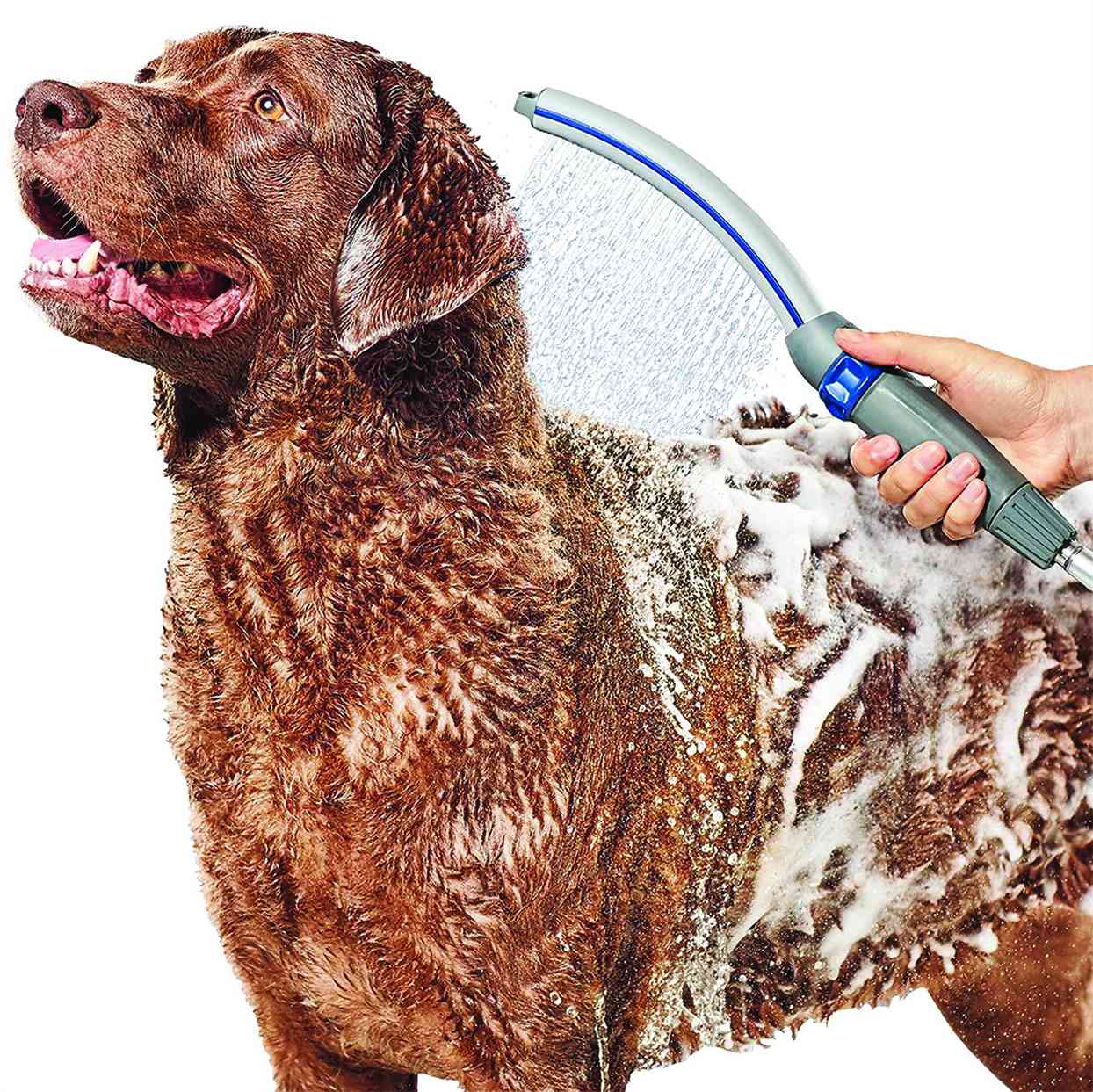 Waterpik pet wand dog shower attachment