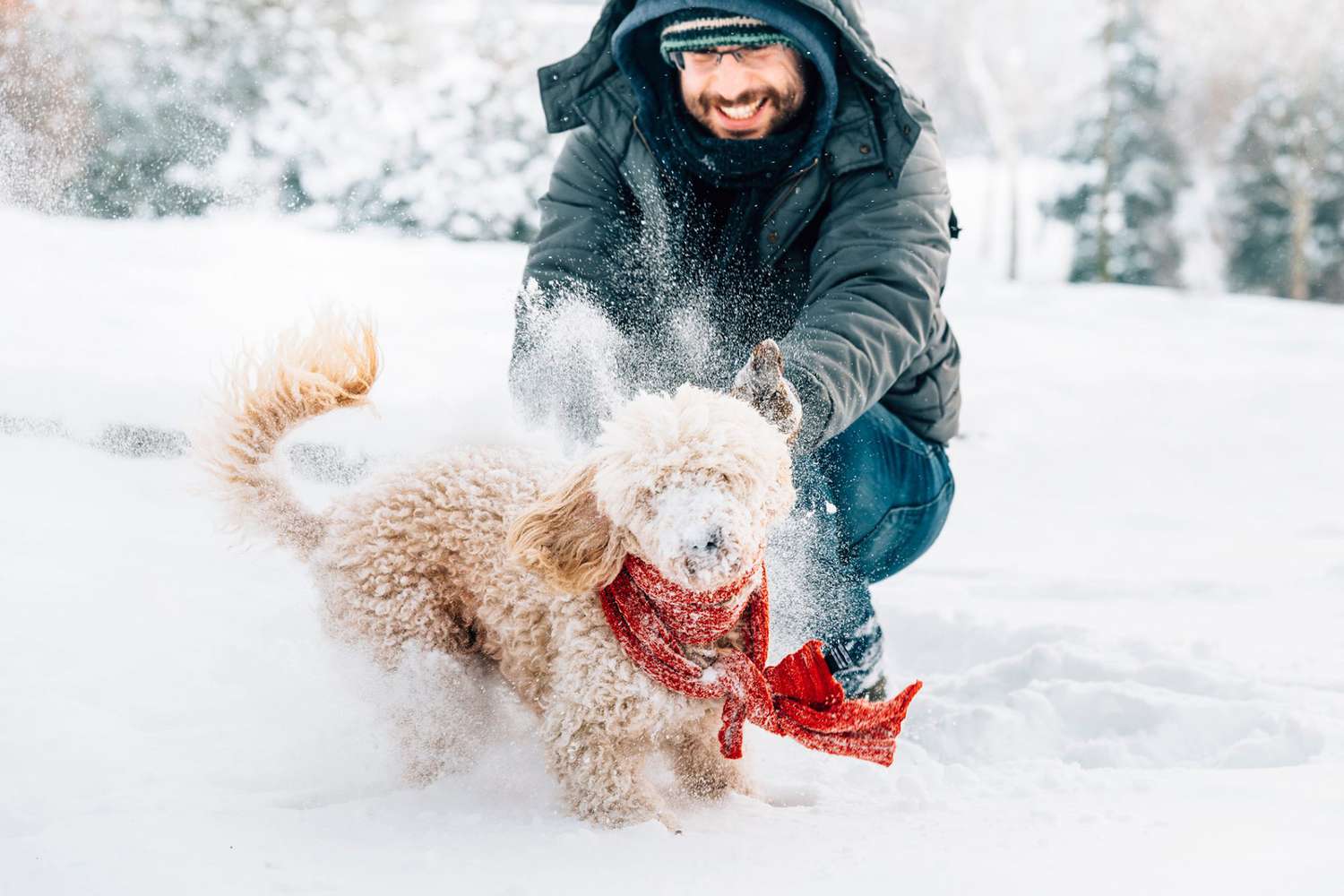 man and dog playing in the snow during the winter