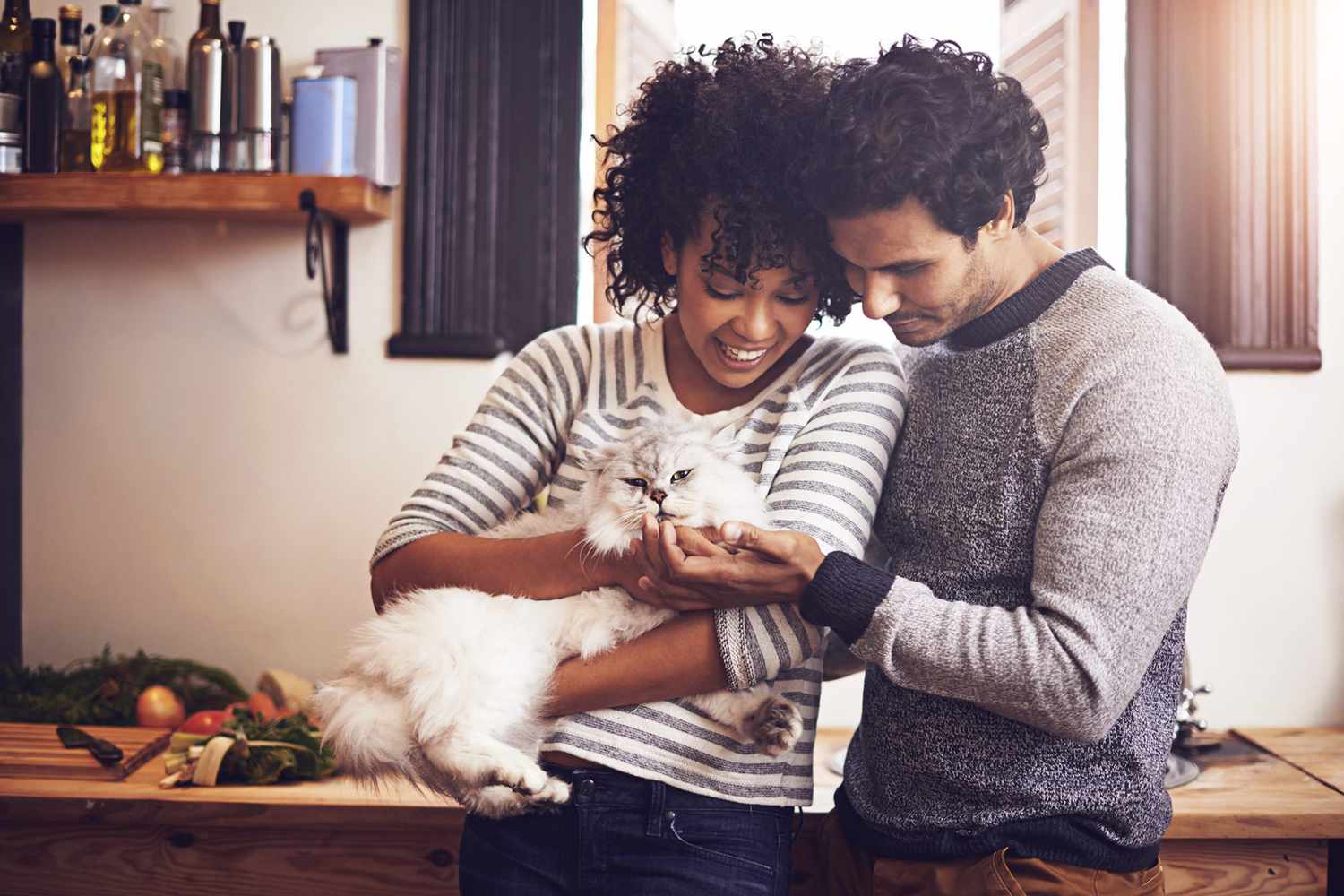 couple holding persian cat