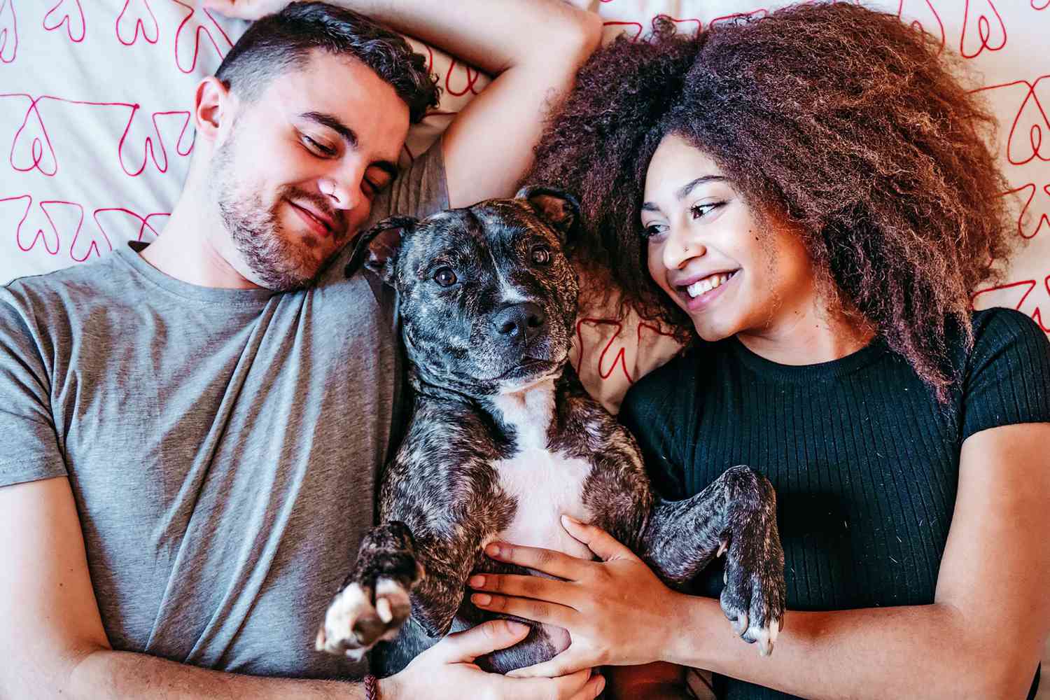 couple lying in bed with their american pit bull
