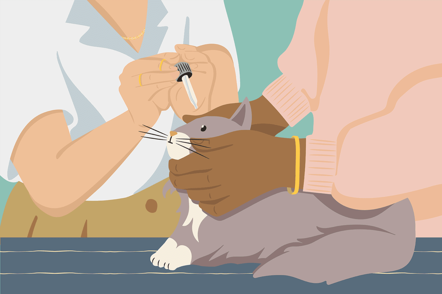 cat getting eye drops, one person holding his face and the other administering the drops