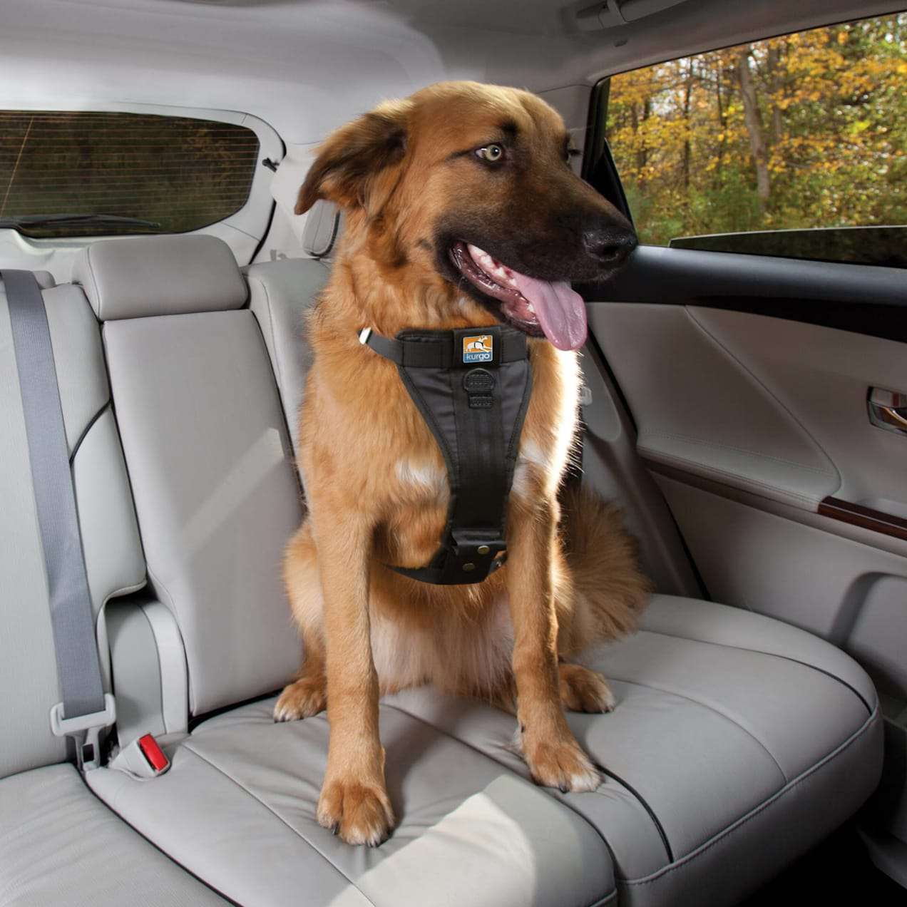 Kurgo Black Tru-Fit Crash Tested Dog Car Harness