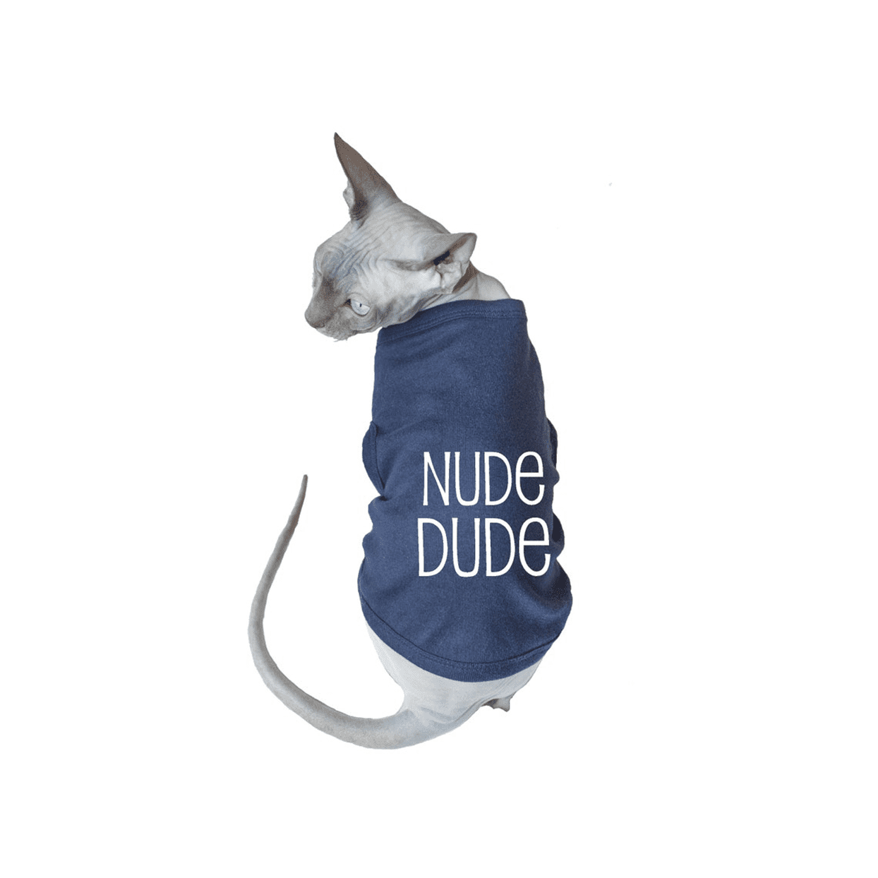 nude dude cat shirt
