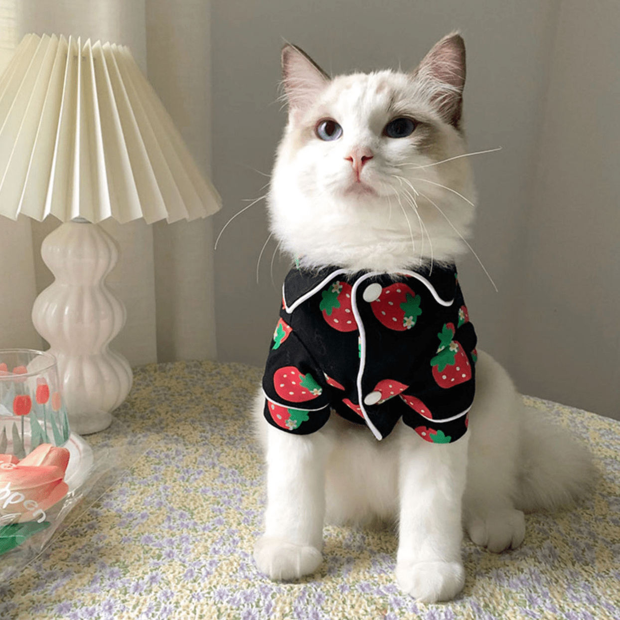 strawberry cat shirt