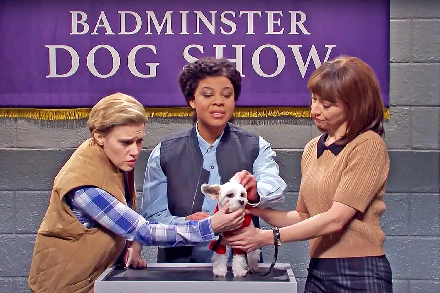 badminster judges looking over small white dog in snl skit