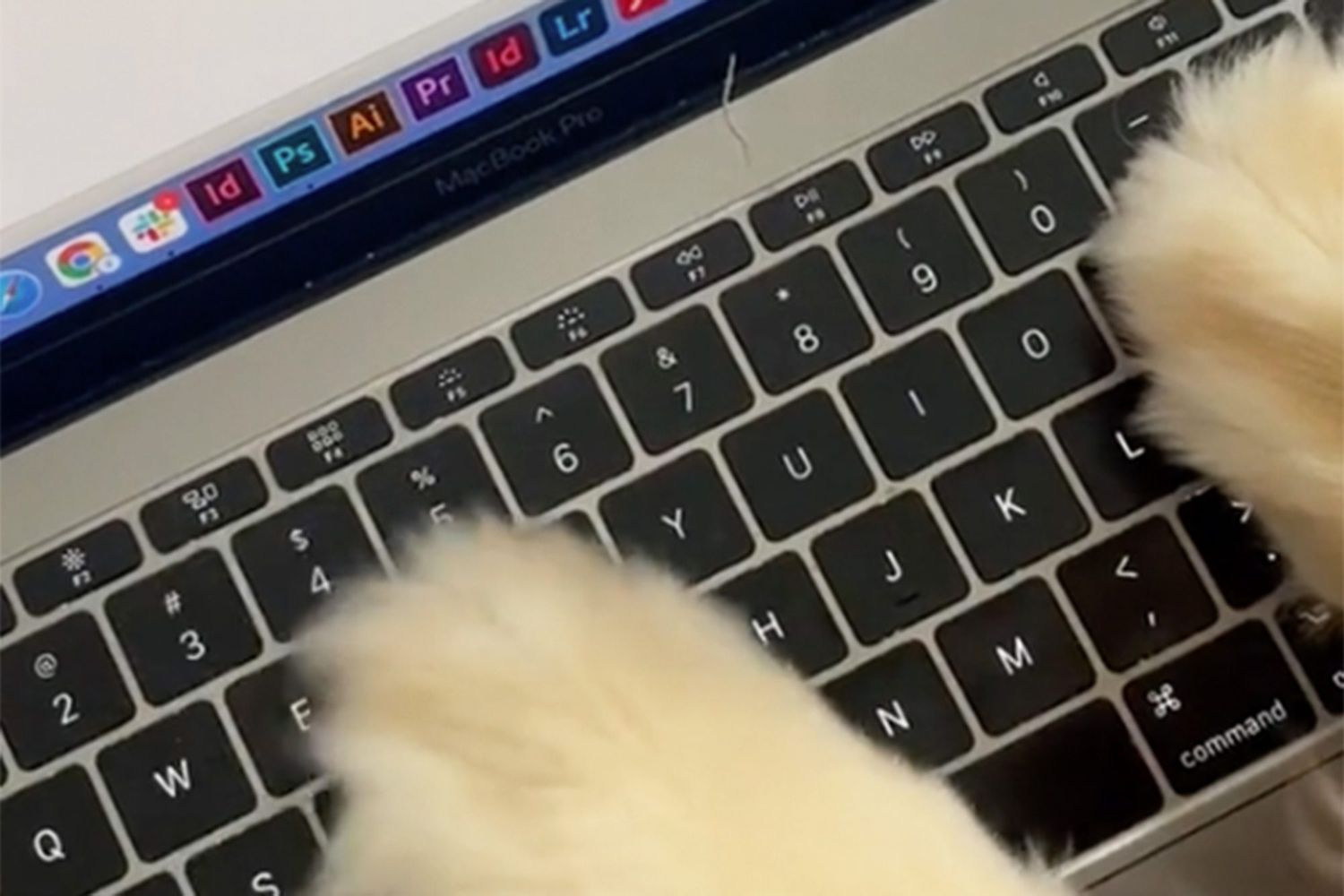 Golden Retriever pretending to type a letter to pet mom's boss