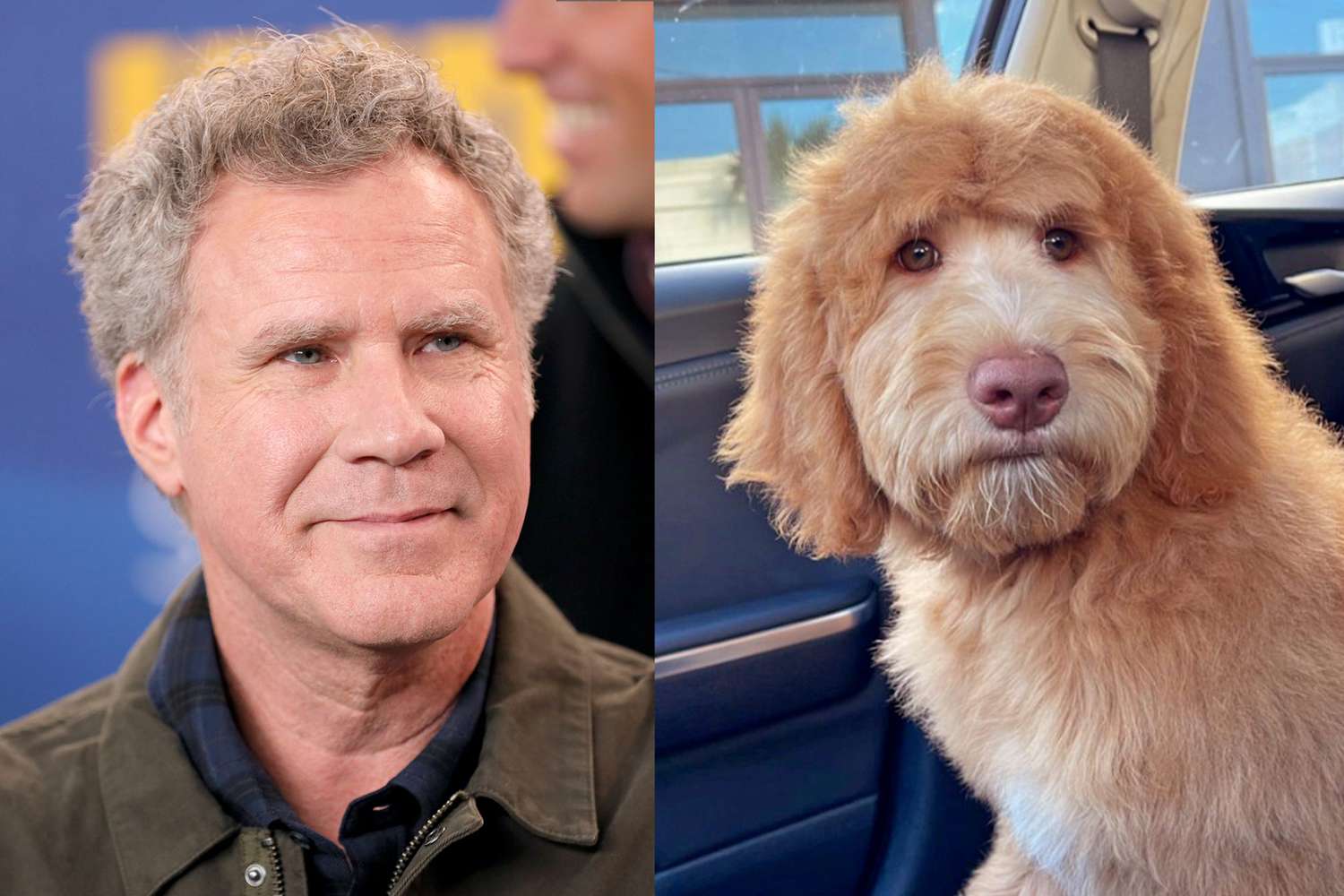 image of Will Ferrell along side of a dog that is his look alike