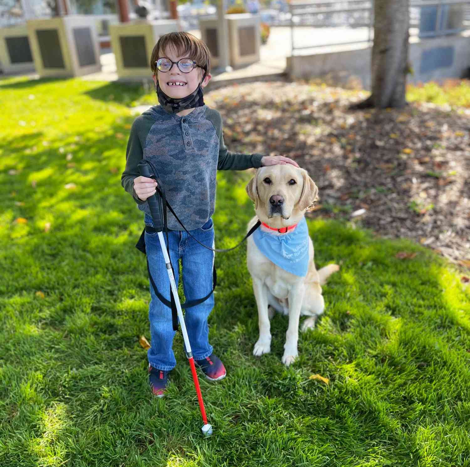 child with walking stick standing with his golden lab guide dog