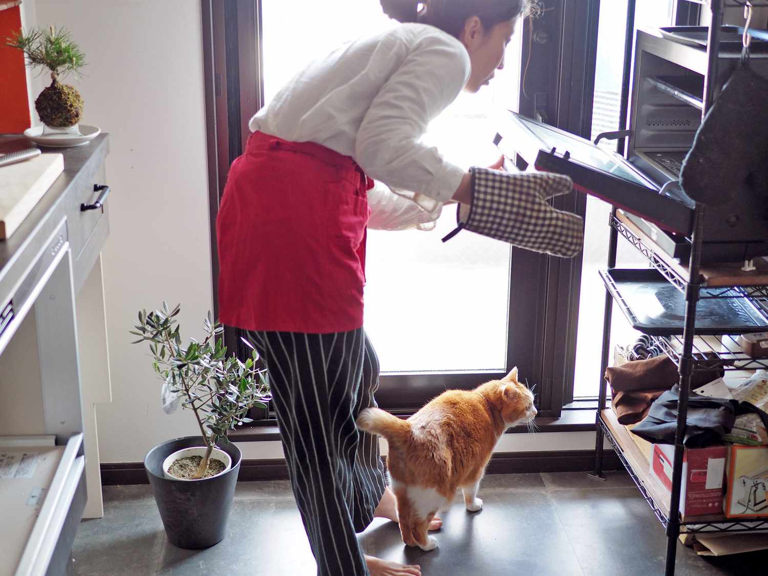 woman opening oven door with ginger cat at her feet