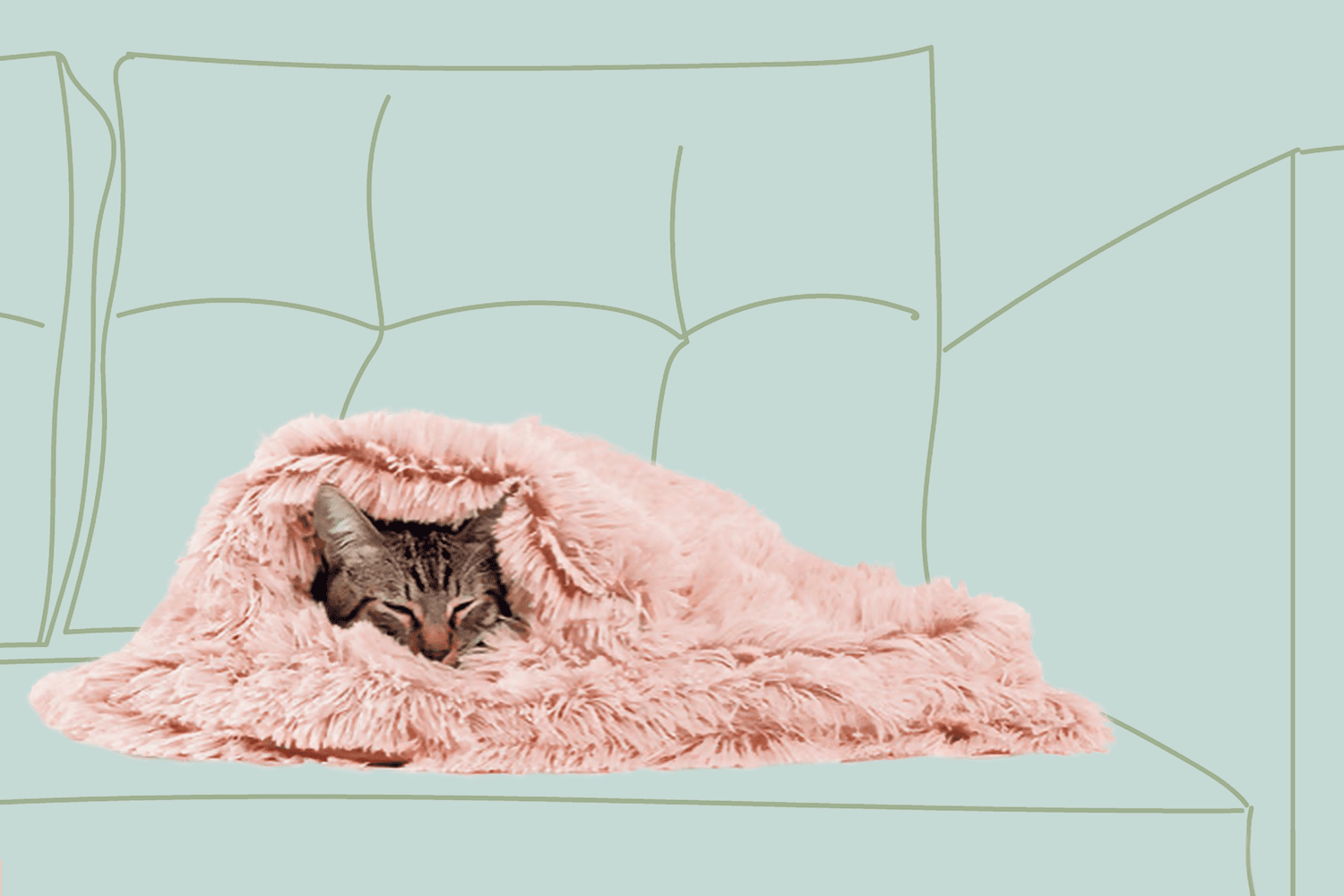Cat snuggled in shag throw blanket