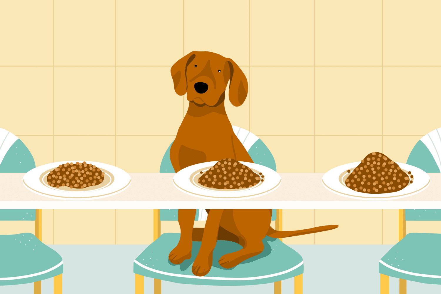 dog with three plates of differing amounts of food