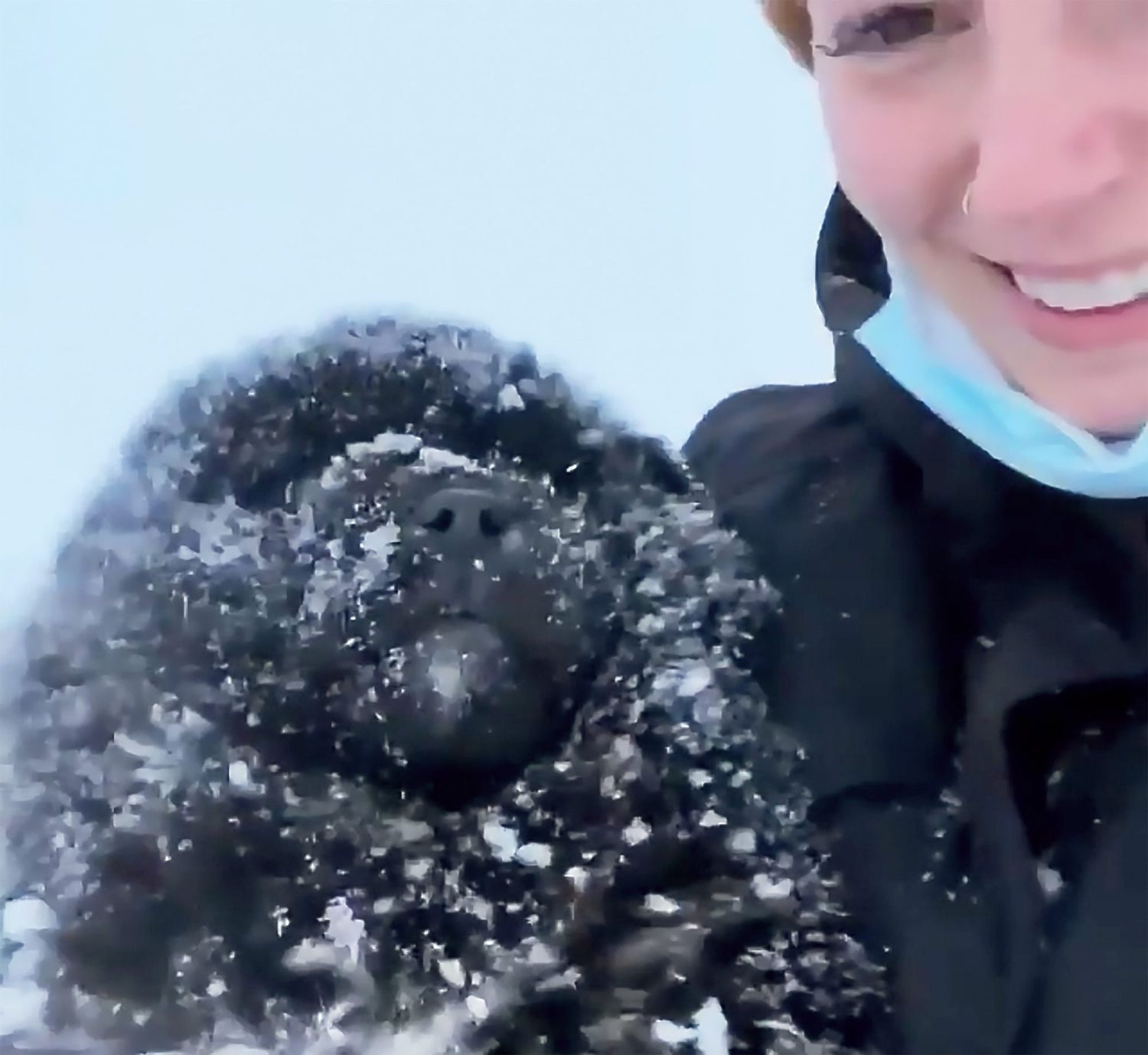 rescuing black furry puppy in a blizzard
