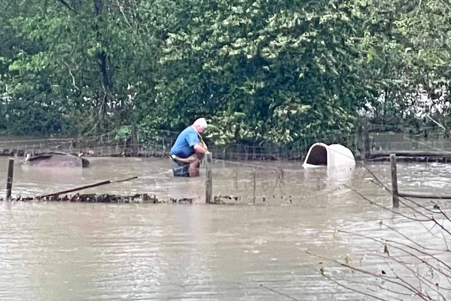 Alabama shelter director wades into flood waters to save dog