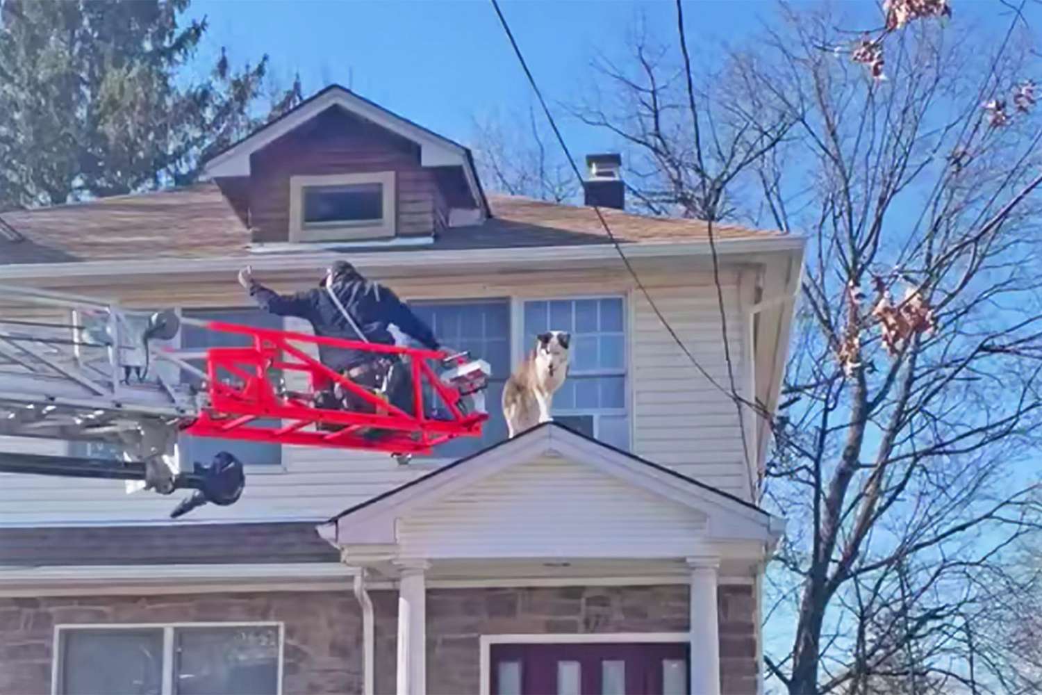 fireman rescuing dog from a residential roof