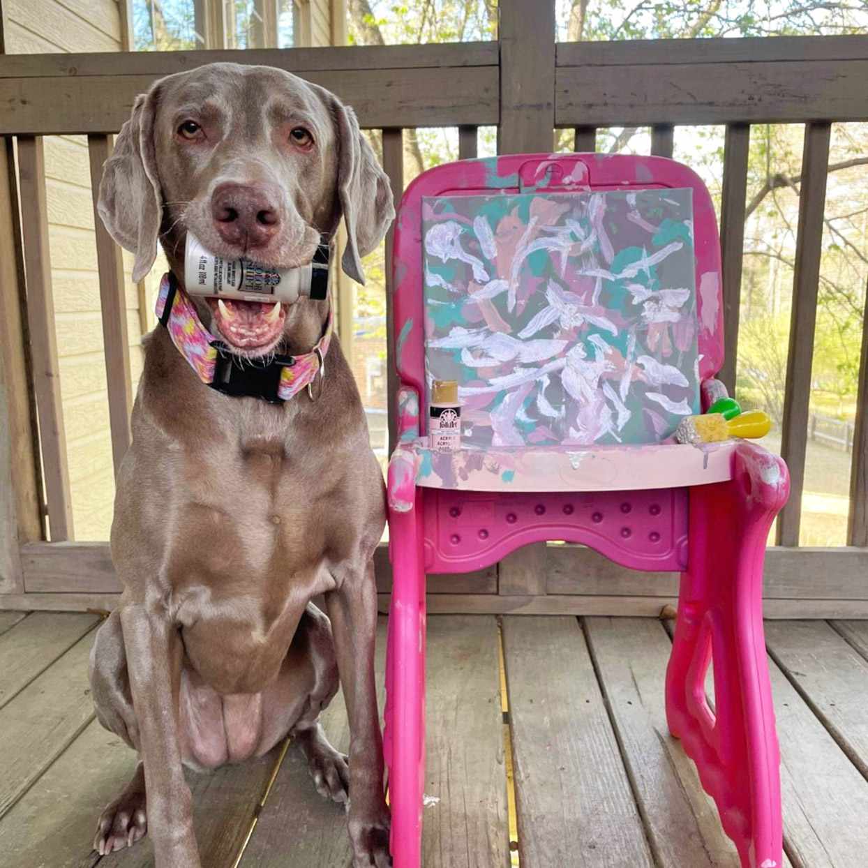 dog with pink easel and pastel painting
