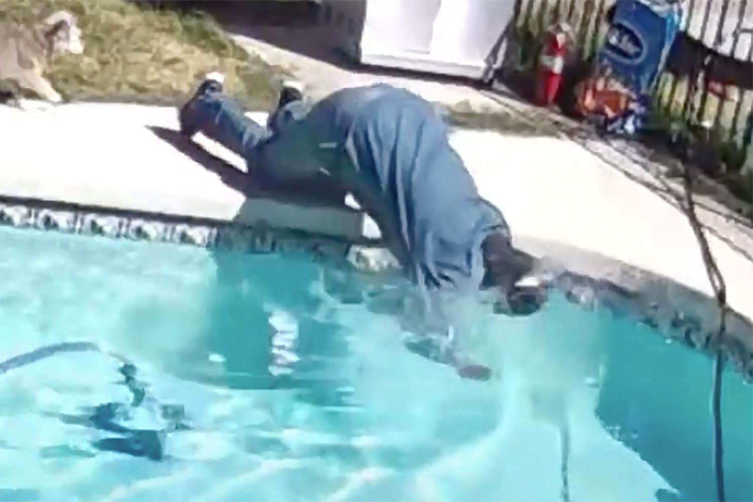 man falls in pool after pup