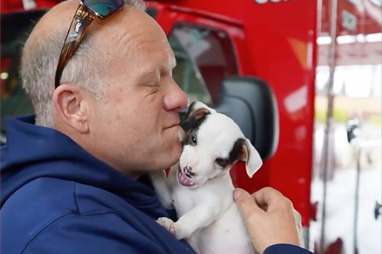 Sacramento firefighter cuddles puppy he is adopting