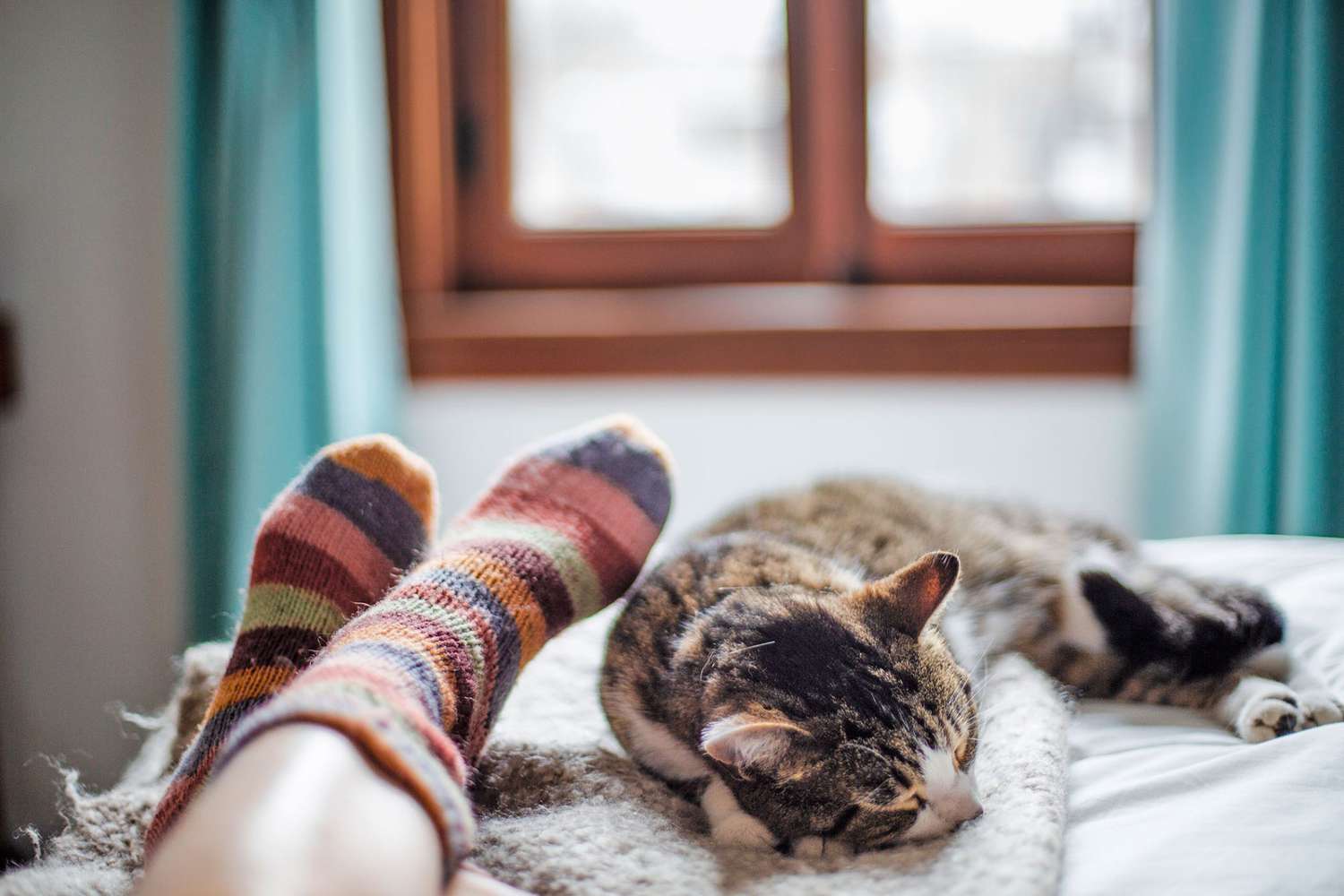 cat sleeping and the end of a bed next to a girl with striped socks.