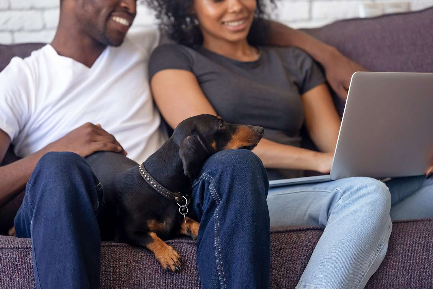 couple sitting on couch watching a movie on a laptop and their dog calmly laying on the man's lap watching with them
