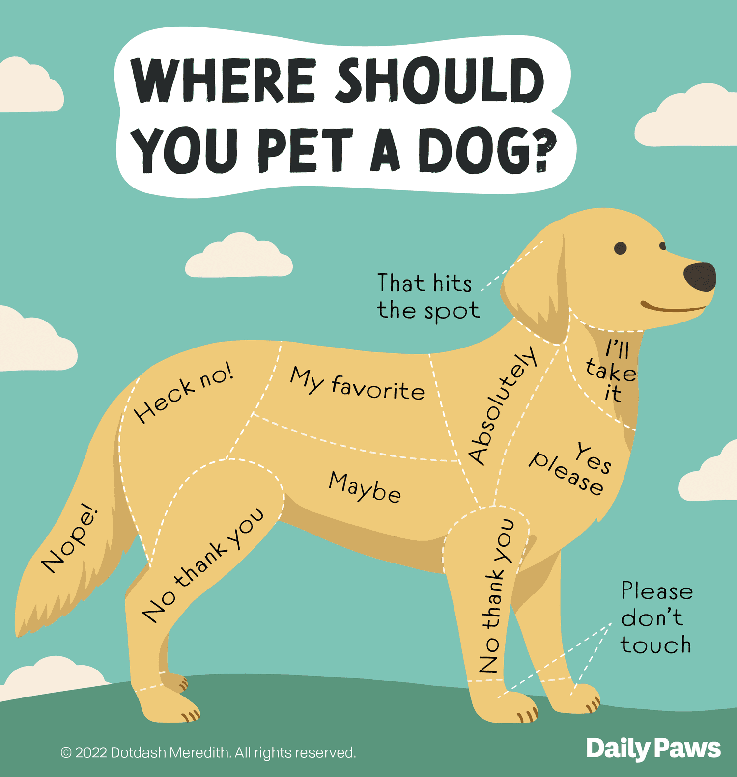 How to Pet a Dog and How to Tell When You Shouldn't | Daily Paws