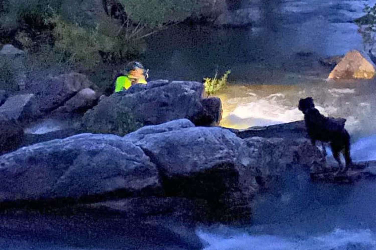 firefighters save dog from raging river