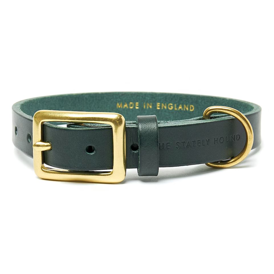 TheStatelyHound Engraved Leather Dog Collar green