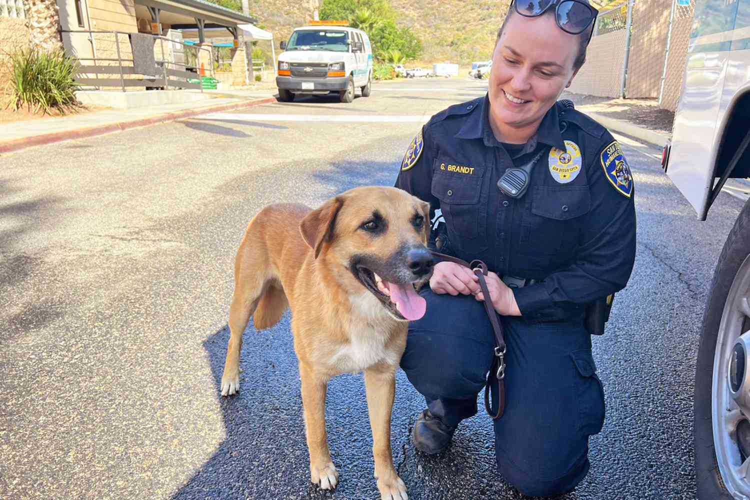 dog rescued from gorilla enclosure with officer who saved him