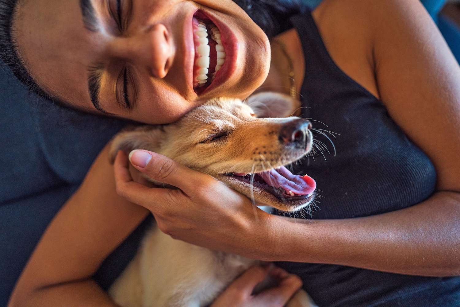 How to Bond With Your Dog In 9 Easy, Expert-Approved Ways | Daily Paws
