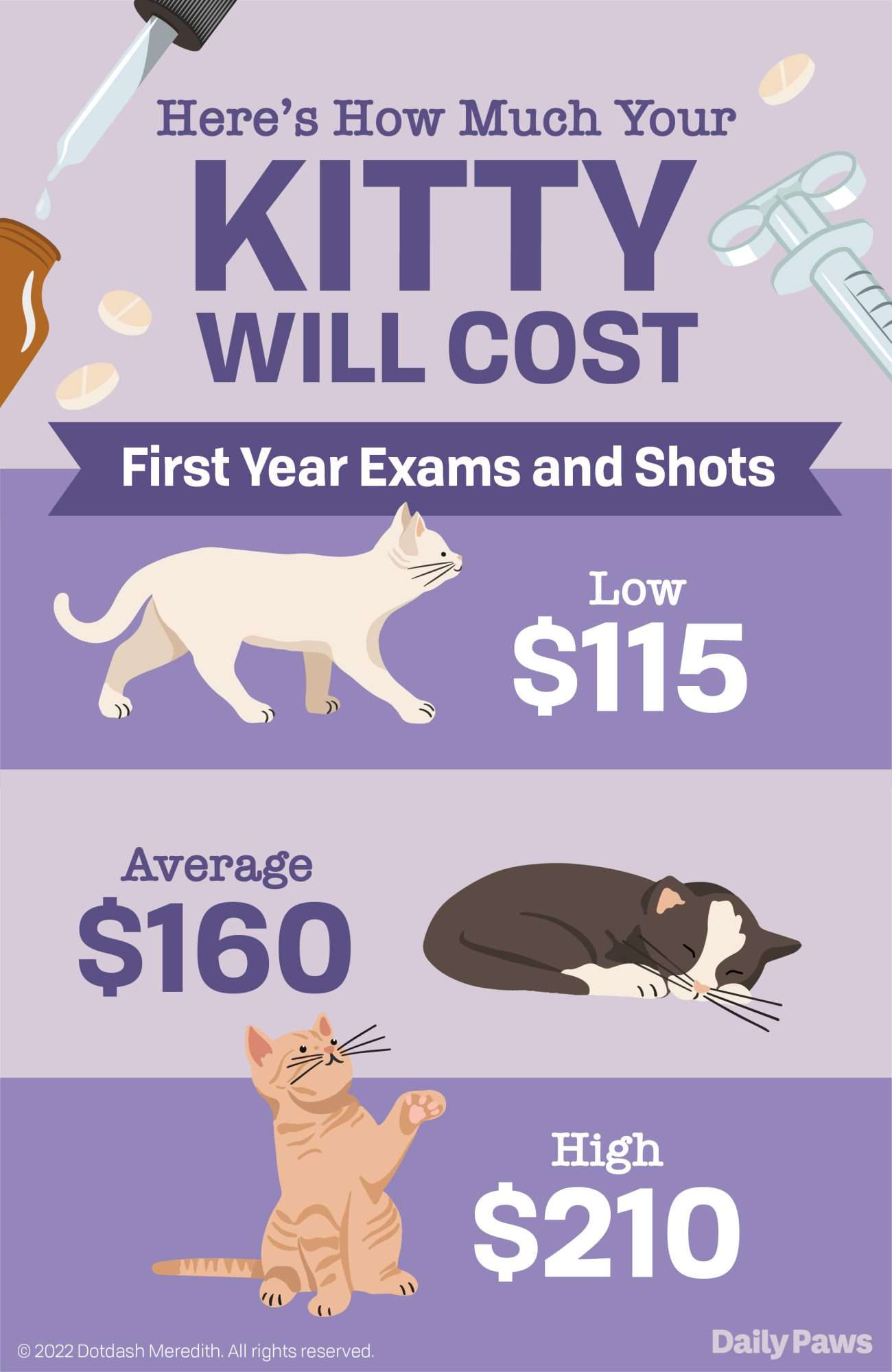 Infographic with the price ranges for cat's vaccination and exam cost