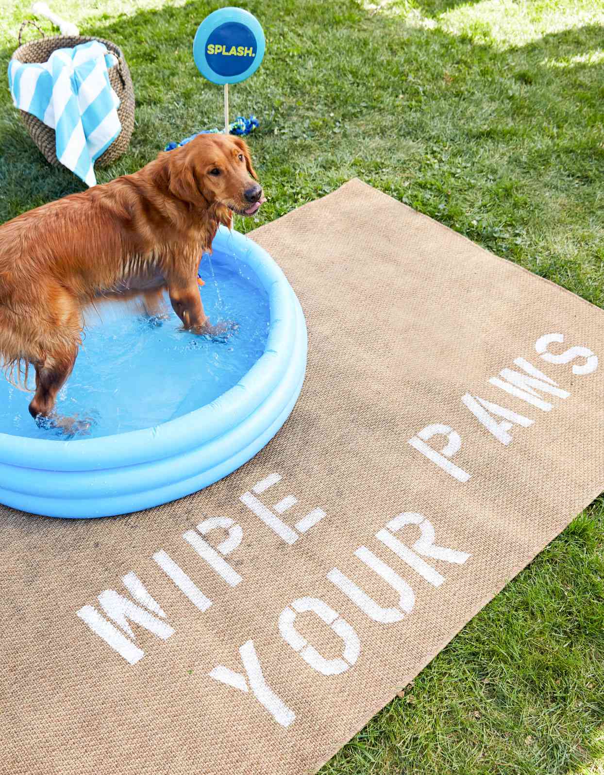 dog in pool that is resting on a rug with words that read "Wipe Your Paws"