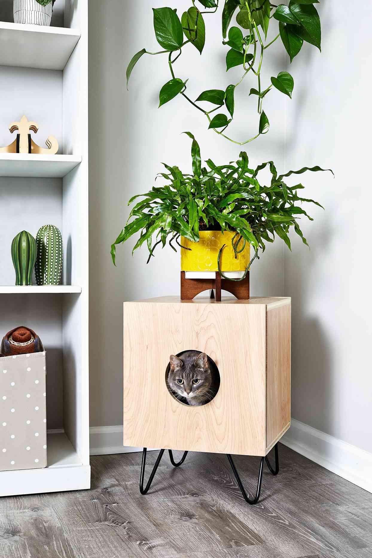 This DIY Cat House Doubles as a Mid-Century Modern Accent Table