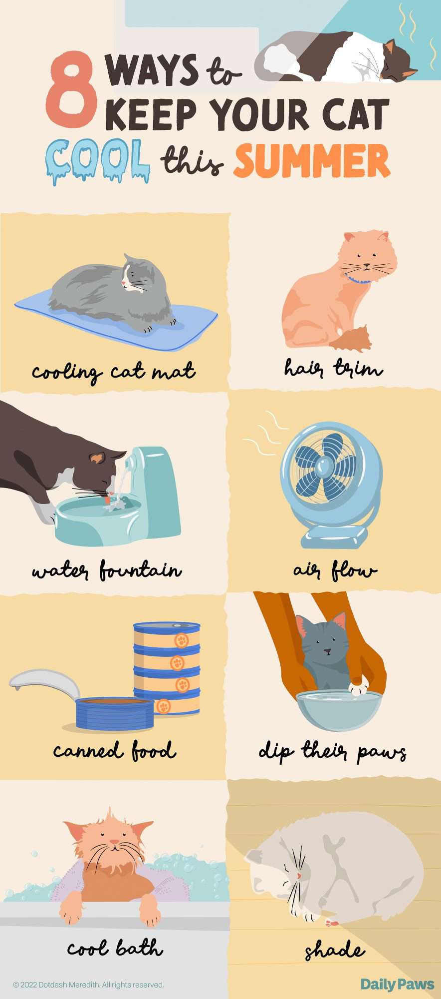 Infographic showing 8 ways to keep a cat cool in the summer
