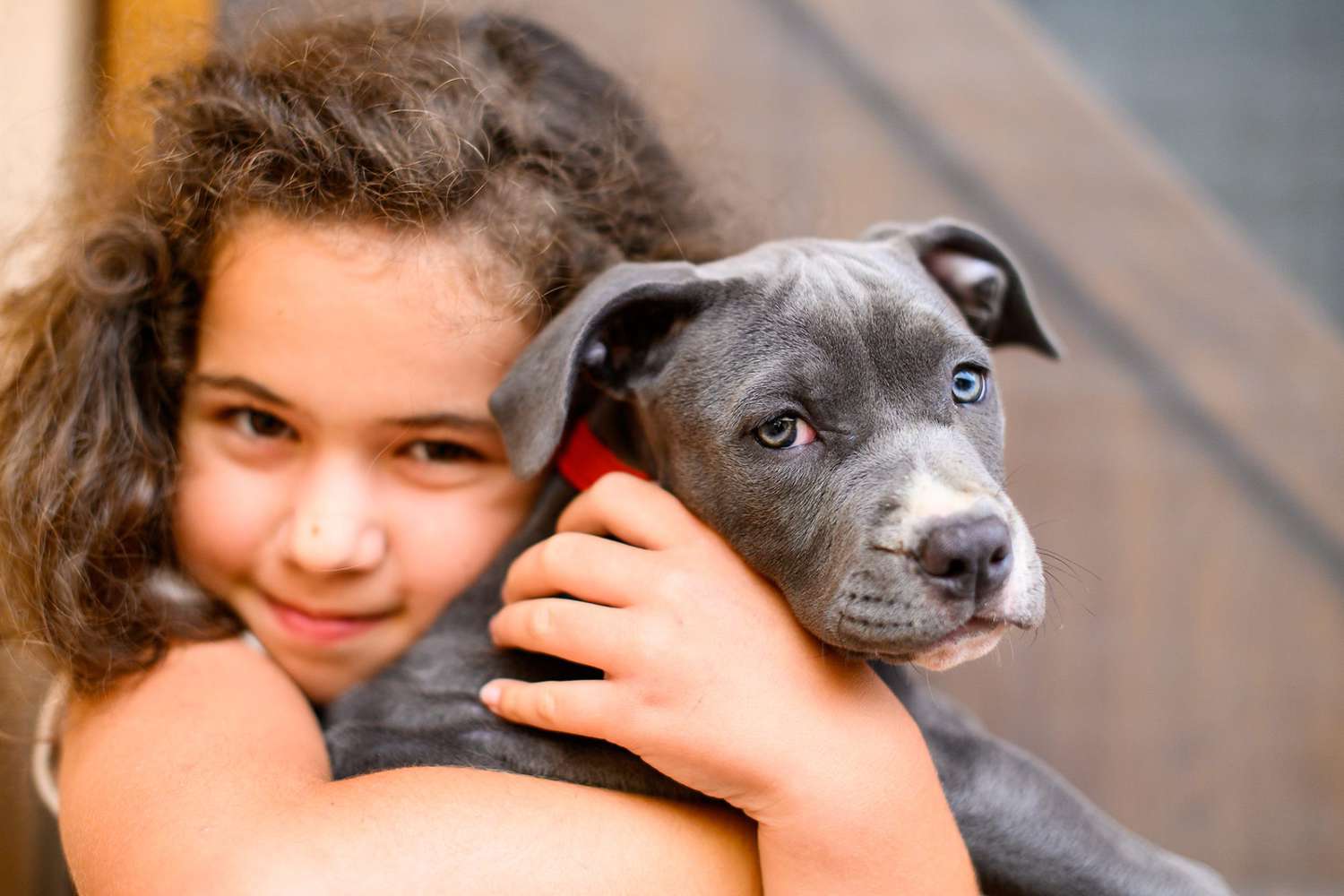 girl holding grey puppy; blue, grey, silver dog names