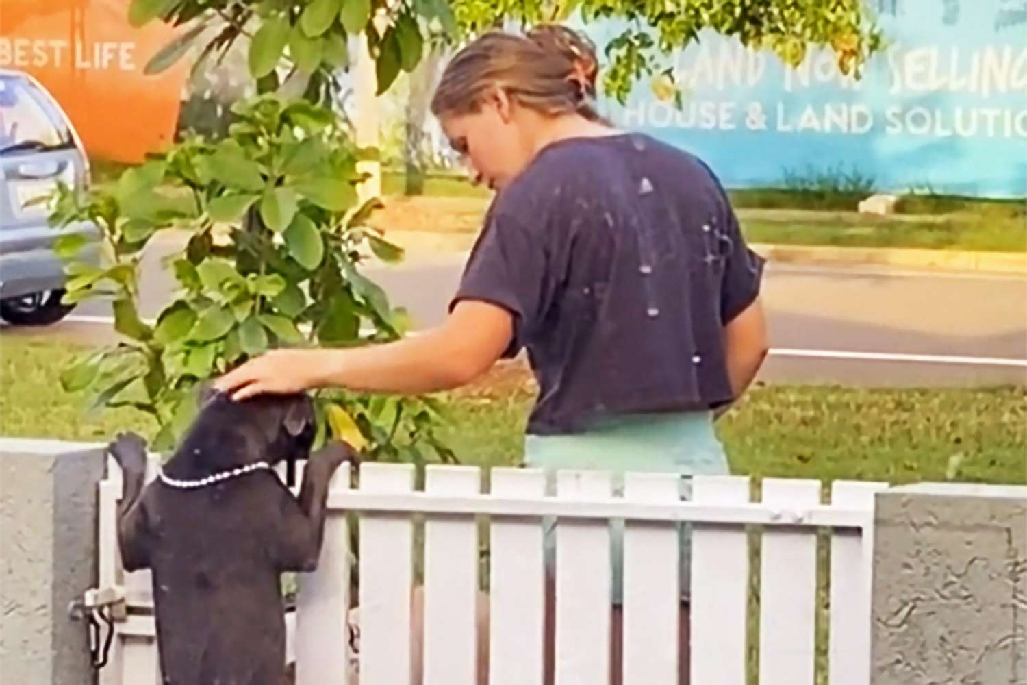 please pet Tubs tiktok; woman petting black dog over fence gate