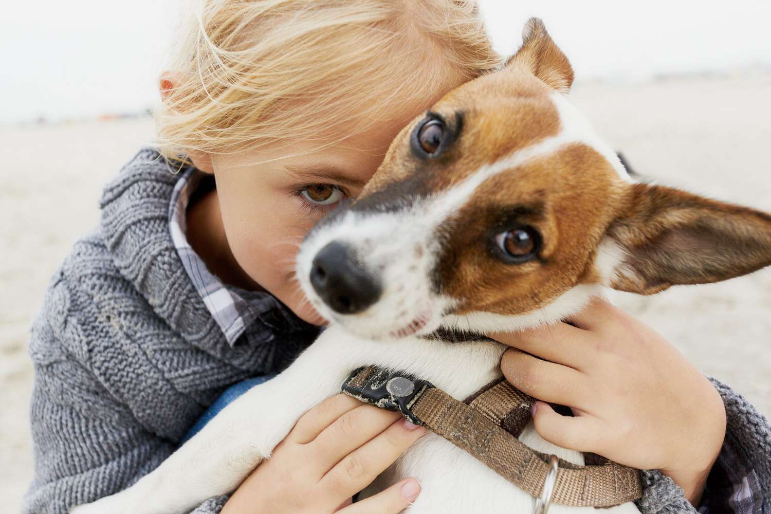 young girl with dog; why are dogs loyal?