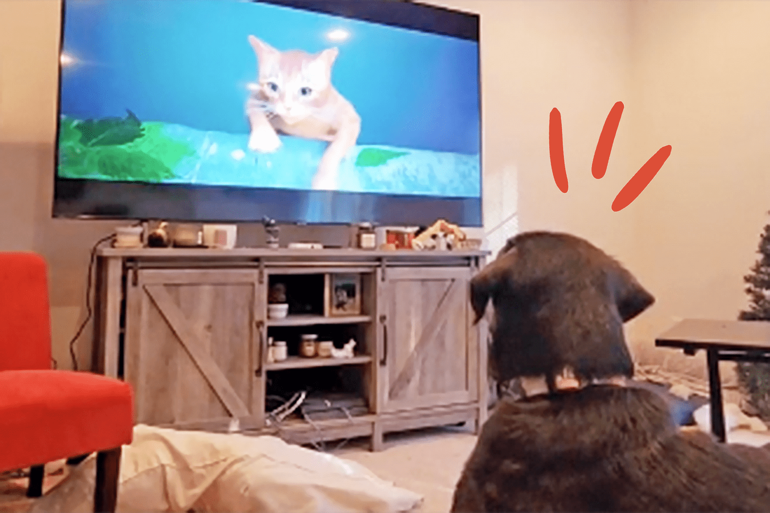 dog watching cartoon of falling cat he wants to rescue