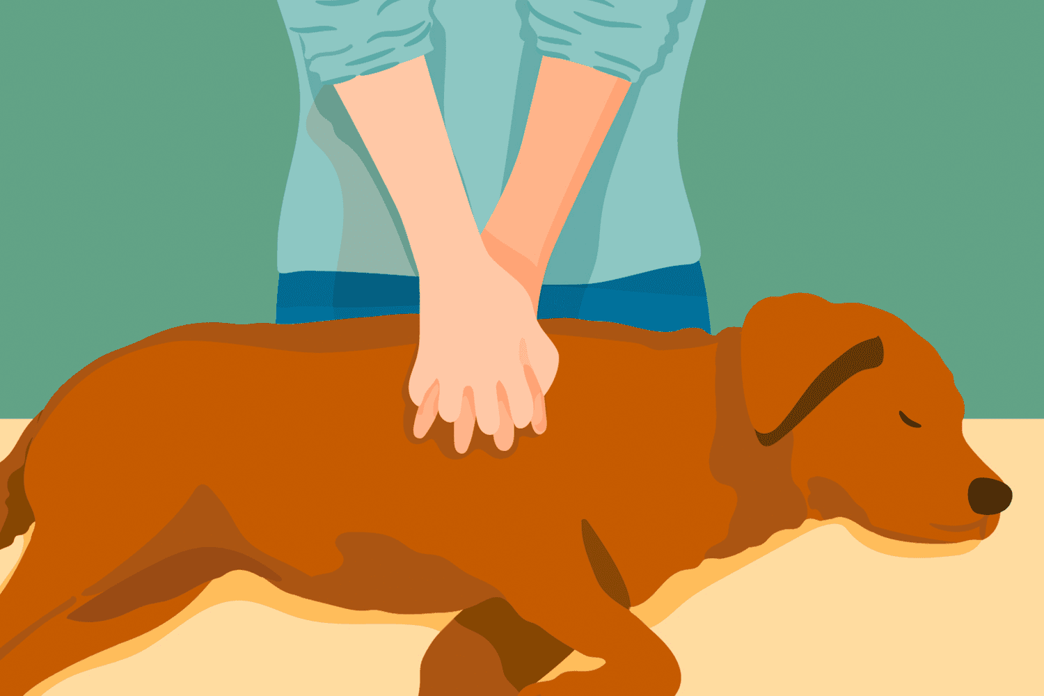 illustration of a person giving CPR to a dog