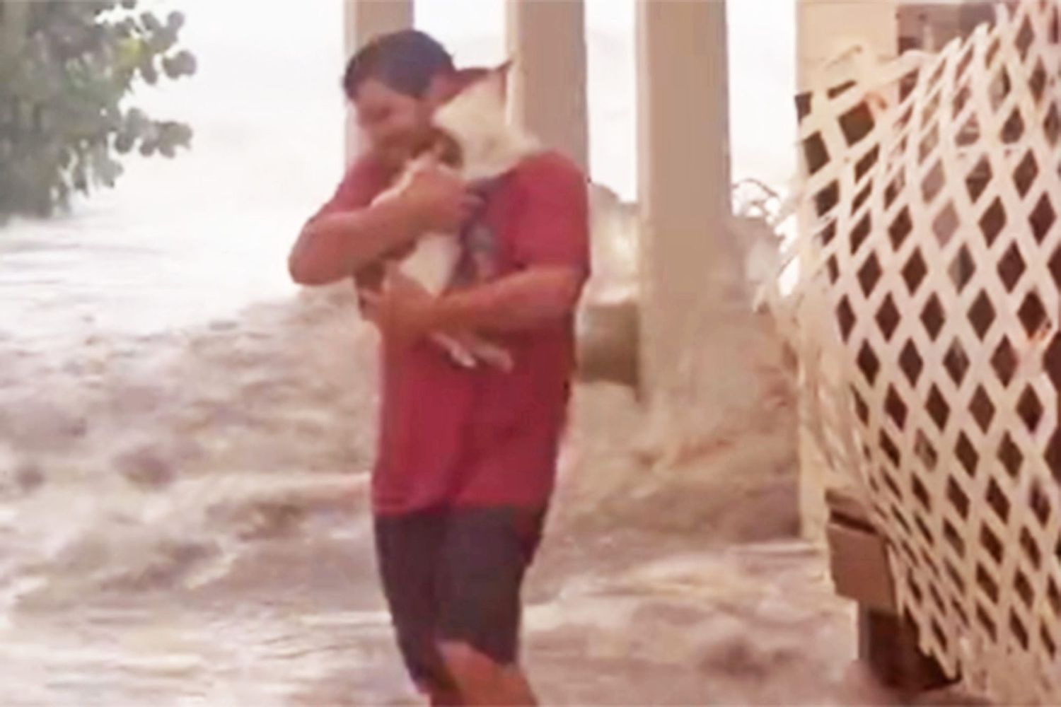 man rescuing cat from hurricane