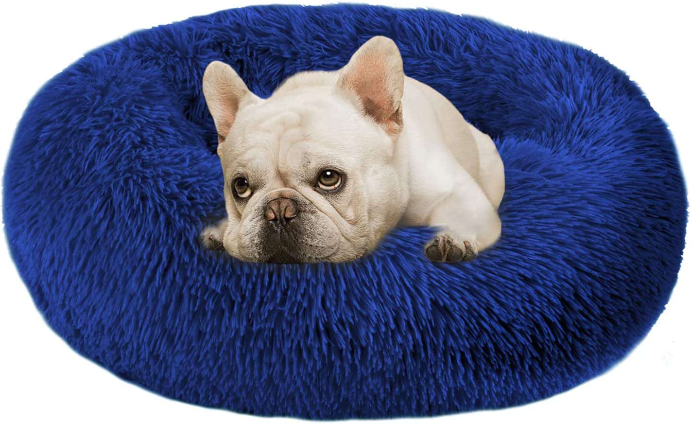 puppbudd calming dog bed