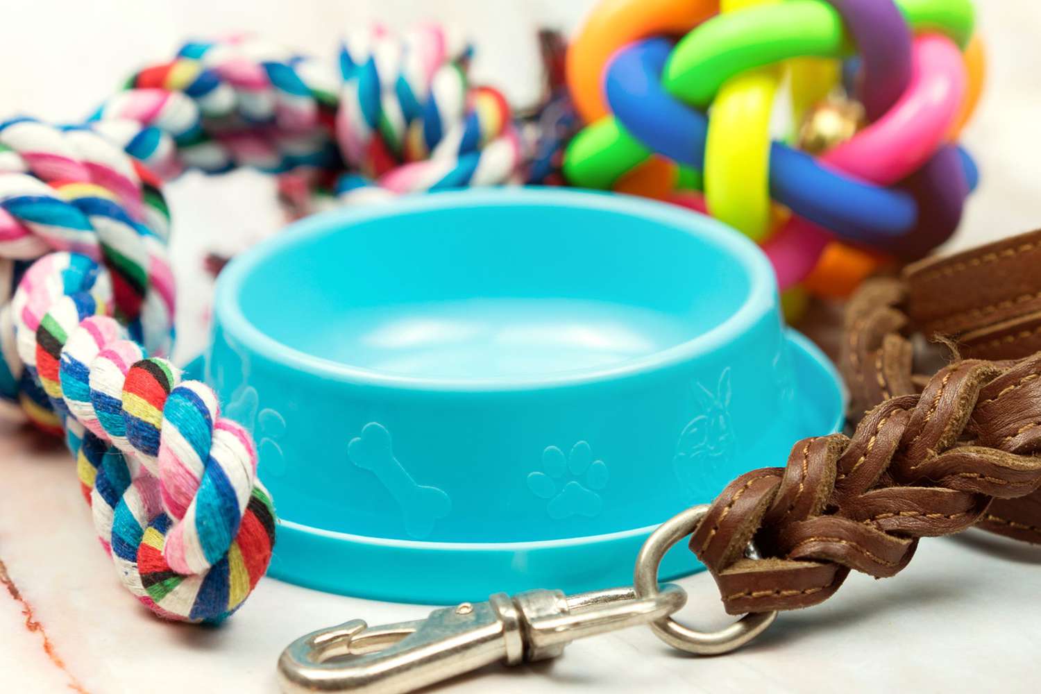 pet supplies for donations at your dog's gotcha day party