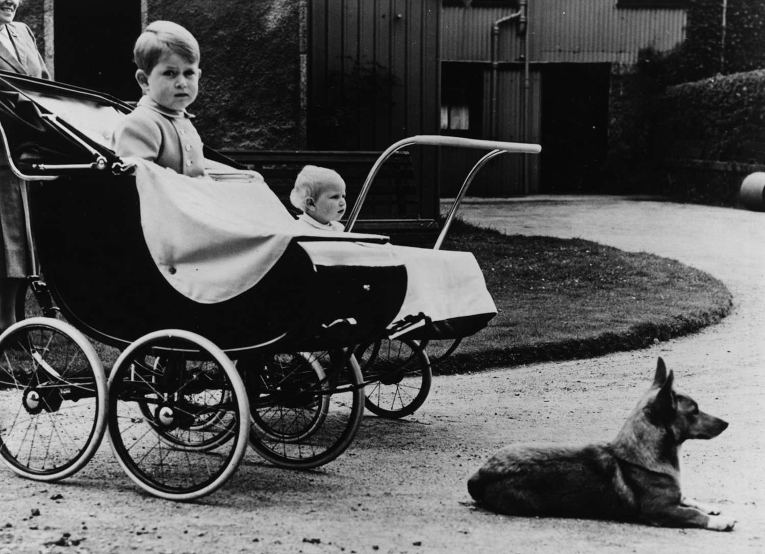 The young Prince Charles (left) and Princess Anne sitting in their prams, next to one of their mother's corgis in 1951