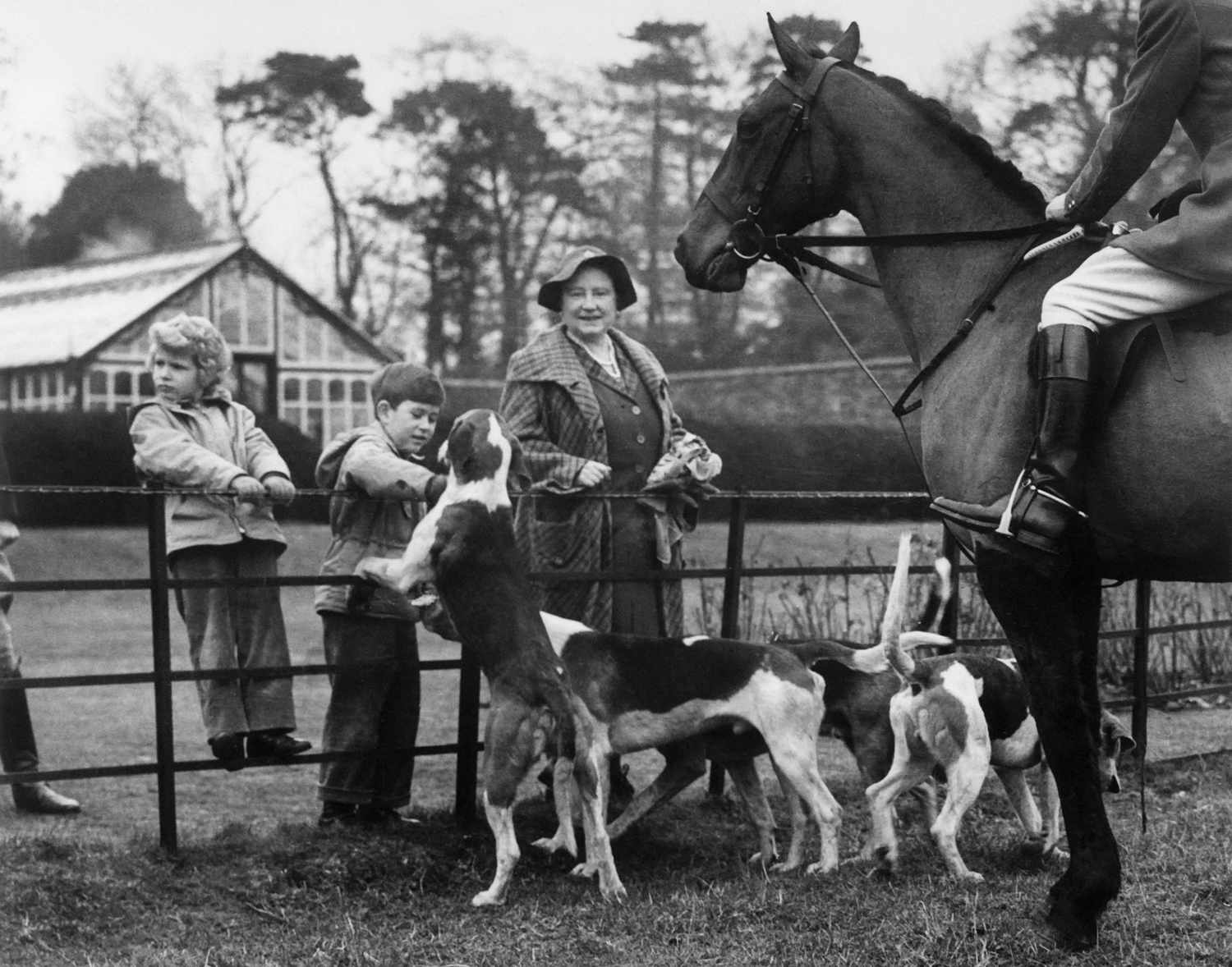 January 1956 in a royal residence in the Norfolk county showing Prince Charles and Princess Anne along with the Queen mother greeting the hunting dogs