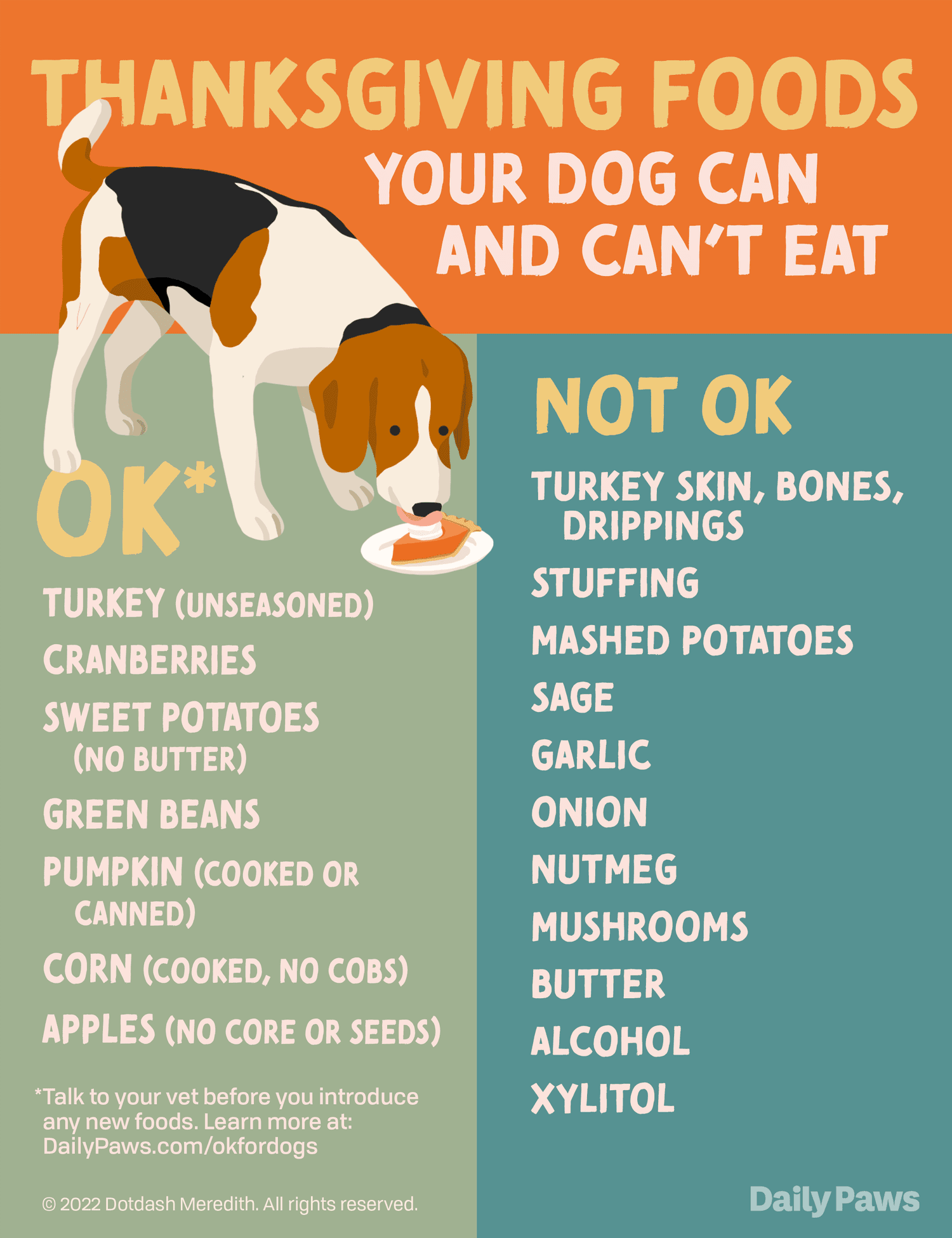 Thanksgiving foods your dog can and cannot eat infographic